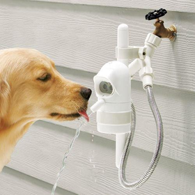 The Dog Activated Outdoor Fountain.