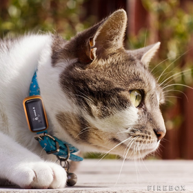 G-Paws Pet GPS Tracker at Firebox.com