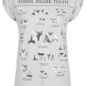 Fossil Shark Teeth Tee by Tee and Cake - Grey Marl