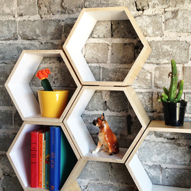 White Hexagon Bookshelf