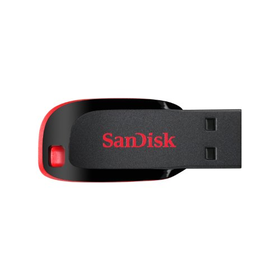 SanDisk 128GB Cruzer Blade Flash Drive