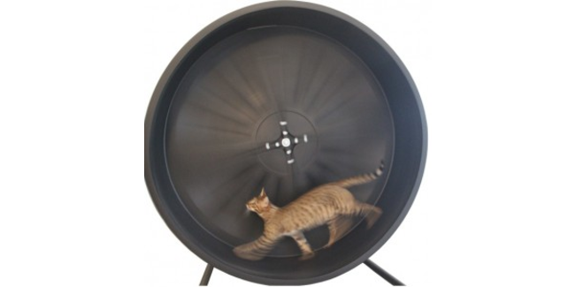 the cat wheel company