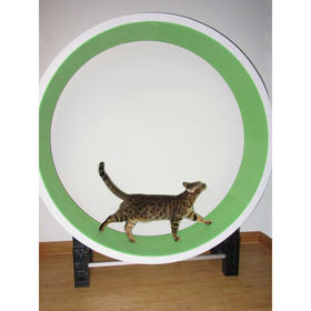 Cazami Cat Exercise Wheel
