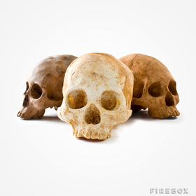 Chocolate Skulls