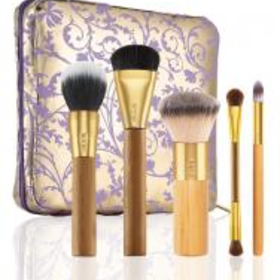 brushed with destiny set of 5 bamboo brushes & makeup bag