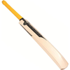 Newbery Mjolnir SPS Cricket Bat