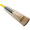 Newbery Mjolnir Player Cricket Bat