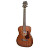 Cort Luce L450C Guitar - Natural Wood with Glossy Sides