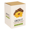 Gift Republic Chocolate Flowers Grow It