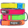 Blueberry Pet 1.5cm S Spring Hope 3M Reflective Fluorescent Pink Padded Dog Collar, Small Neoprene C