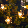 Solar Blossom Flower Fairy Lights 30 Warm White LEDs