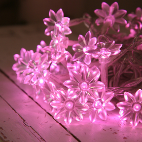 30 Pink Sunflower Indoor LED Fairy Lights
