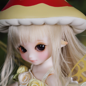 Fairy Orris of Mushrooms