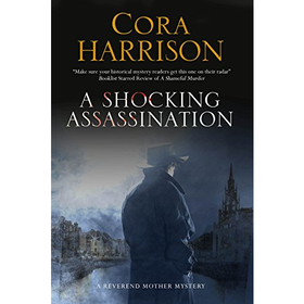 A Shocking Assassination: A Reverend Mother Mystery Set in ...