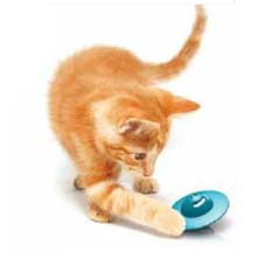 Wobble Ball Cat Toy